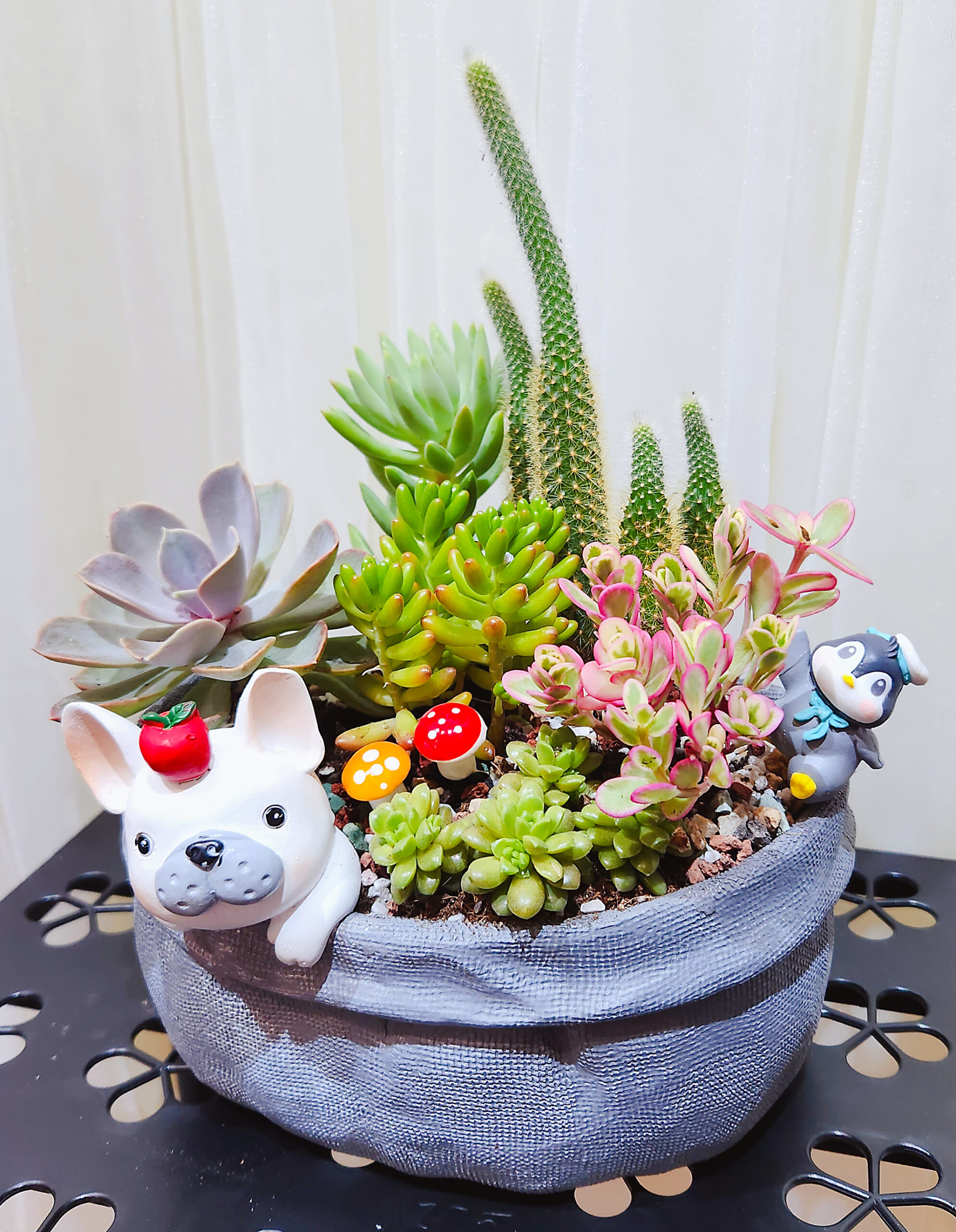 Dog Pot Living Plants - Foryou Flowers | Penang Florist | Flower ...