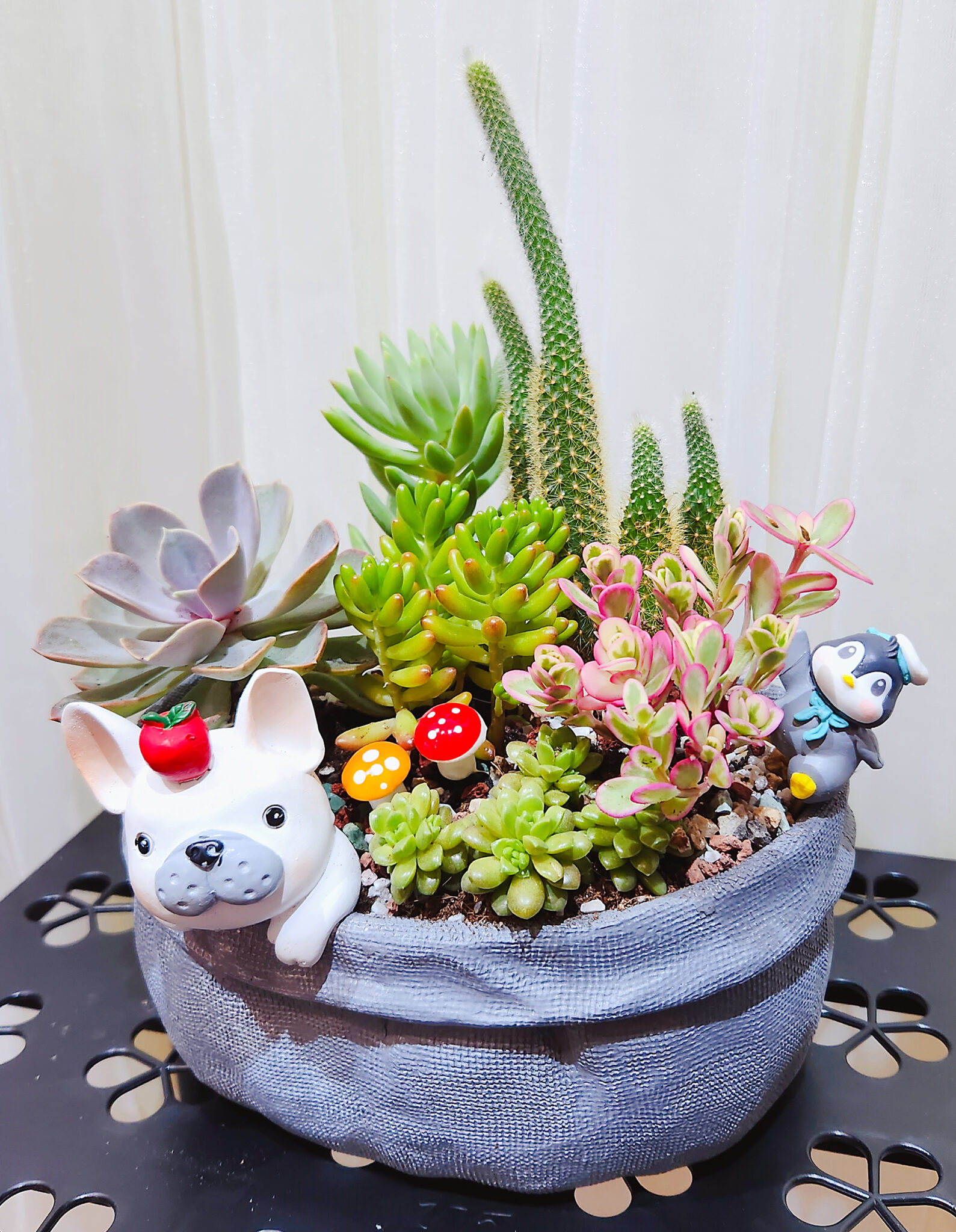 Dog Pot Living Plants - Image 2