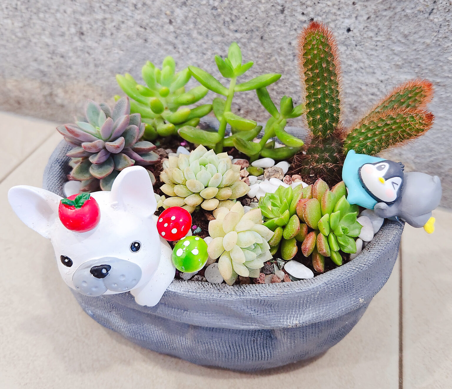 Dog Pot Living Plants